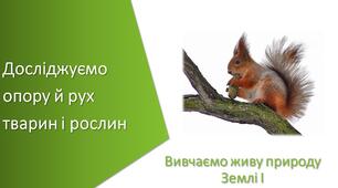 Презентація з уроку Пізнаємо природу для 5 класу на тему «Досліджуємо опору й рух тварин і рослин»