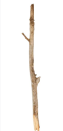 0401s1ur-7d06-126x261.png
