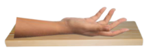0401s21m-901e-223x76.png