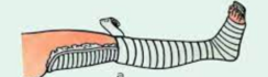 0401s21u-e6d4-244x70.png