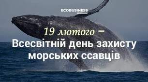 19 лютого - День захисту морських ссавців. Цікаві факти про дельфінів 