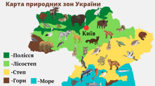 Презентація "Тваринний світ України" 8 клас