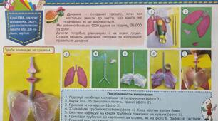 Конспект-конструктор уроку з дизайну і технологій 4 клас НУШ (Савченко) до альбома-посібника "Маленький трудівничок"Л.І.Роговська на тему "Як ми дихаємо"