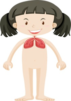 0401s5i9-7b2e-144x206.png