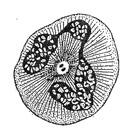 0401s5vq-bd23-133x133.jpg
