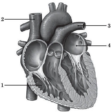 0401s6ap-b04f-370x372.png