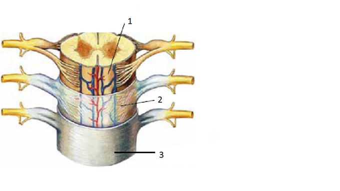 0401s6be-f048-680x383.png