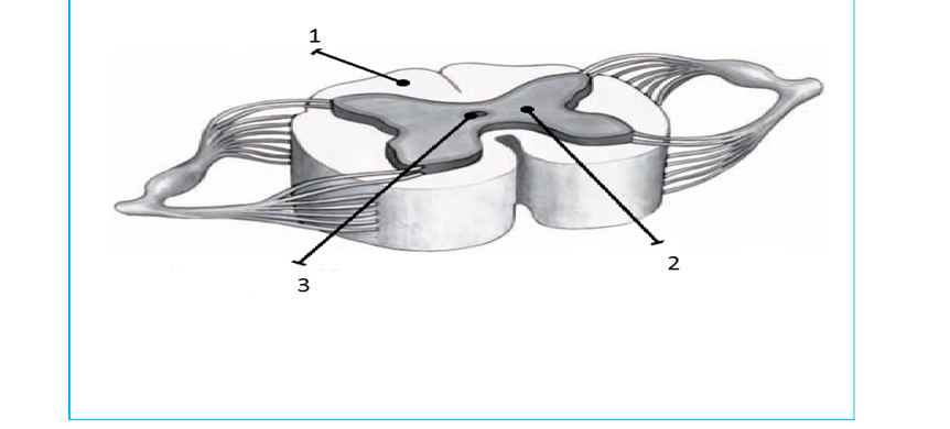 0401s6ch-7b95-862x390.png