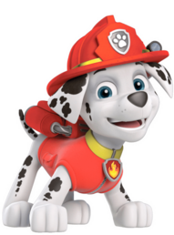 0401s6cs-d4e7-191x258.png