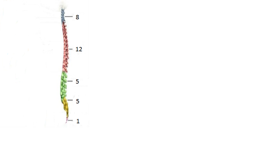0401s6fx-88fb-940x530.png