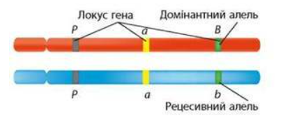 0401s6lt-00bc-406x185.png