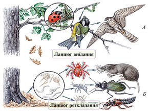 0401s7tz-eb97-289x217.jpg