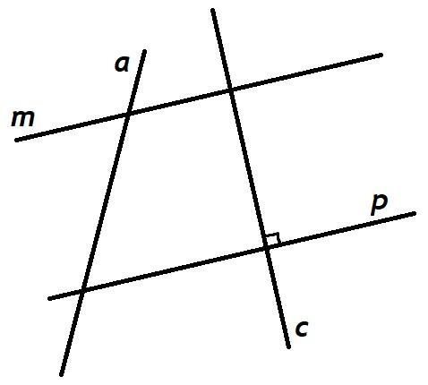 0401sa2f-c24c-478x430.jpg
