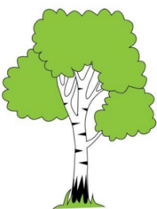 0401saen-eb3a-177x235.png