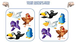 Нейроігри для дітей "Птахи"