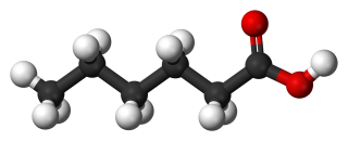 0401se1s-d3a8-320x130.png