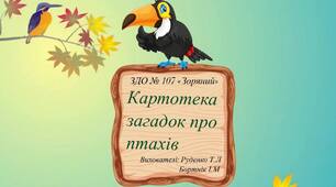 Картотека загадок про птахів.