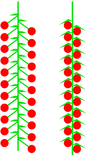 0401sf7d-5506-170x322.png