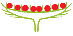 0401sf7h-b9e0-300x150.png