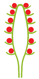 0401sf84-41a2-136x278.png