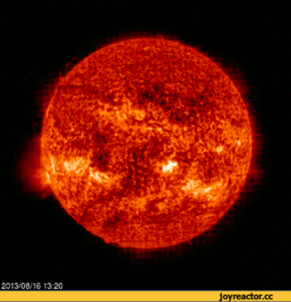 0401sg2o-3455-291x302.png