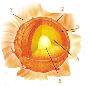 0401sgfx-2aa4-298x286.png