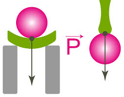 0401sipl-3ea7-254x199.png