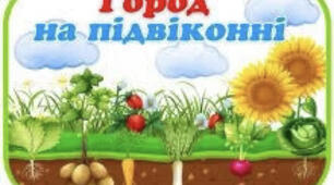 Город на підвіконні