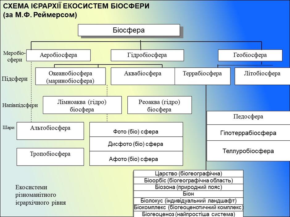 0401sn03-6c18-940x705.jpg