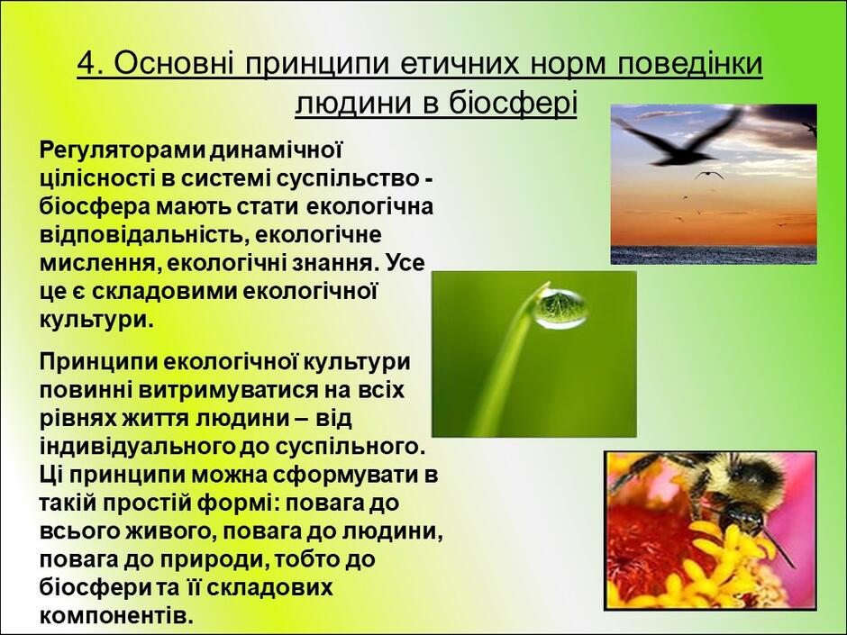 0401sn0o-cba6-940x705.jpg