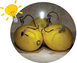 0401sopo-664b-249x204.png