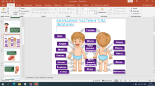 Презентація для дітей ООП ,Корекція розвитку.Тема: Тіло людини.