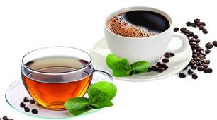 Reading. Text " Coffee and Tea"