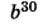 0401ss9c-7acc-42x24.png