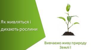 Презентація з уроку Пізнаємо природу для 5 класу на тему «Як живляться і дихають рослини»