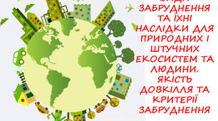 11 клас Види забруднення
