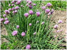 0401t0ds-44c1-221x166.png