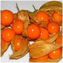 0401t0f6-773a-212x212.png