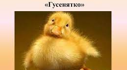 М.Вінграновський " Гусенятко"