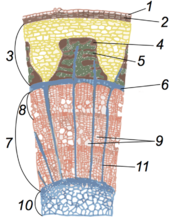 0401t1ph-4f32-176x217.png