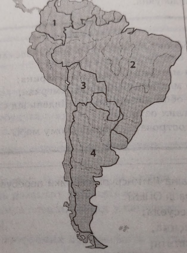 0401t1s8-e081-187x253.png