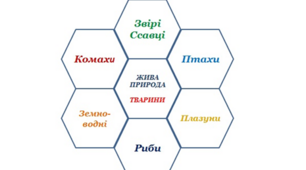 Квітковий шестикутник "Жива природа. Тварини"