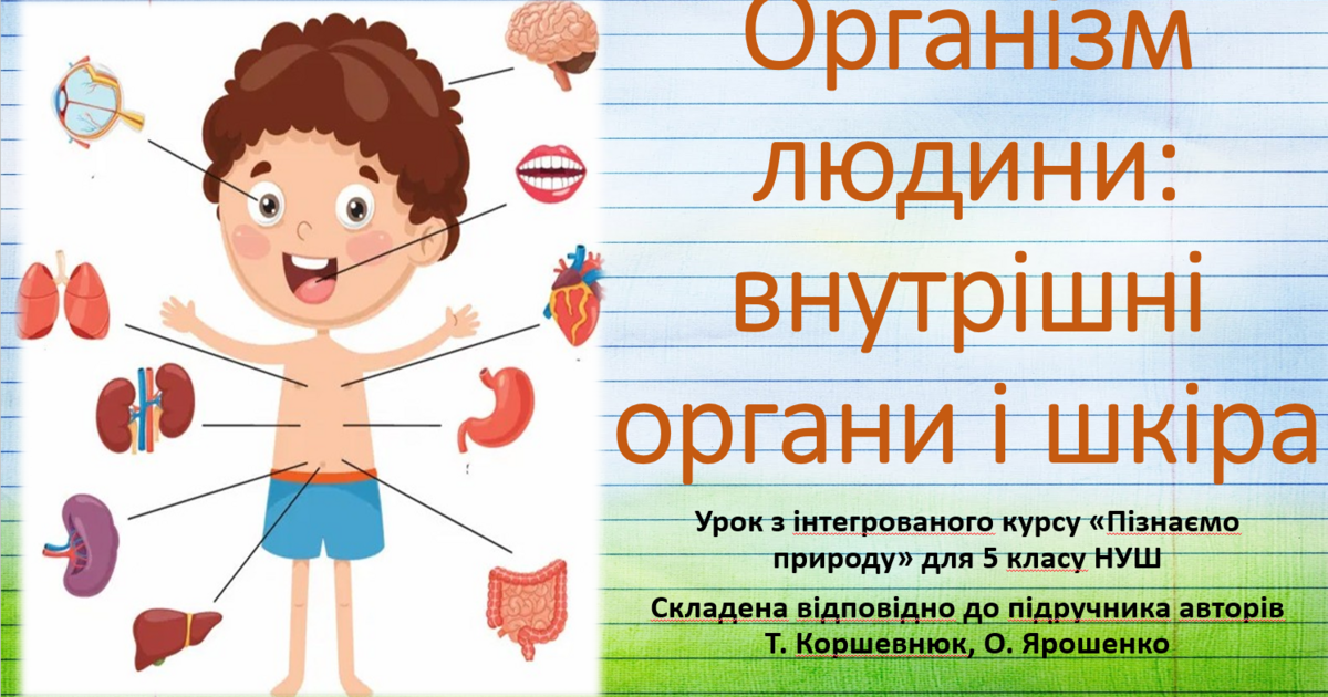 Організм людини: внутрішні органи і шкіра."Пізнаємо природу", 5 клас ...