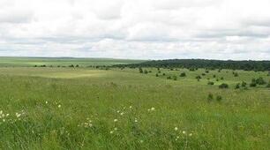 Лісостеп