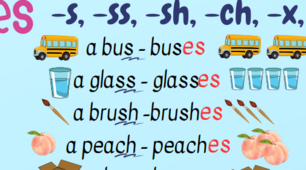 Plurals (Правила утворення множини іменників)