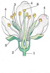0401tf65-93b2-211x308.png