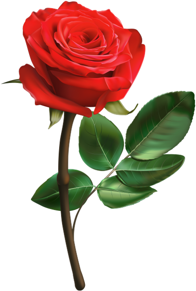 0401tfqb-5886-404x600.png
