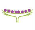 0401tg8x-e921-124x104.png