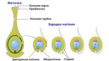 0401tgc5-9806-366x206.png