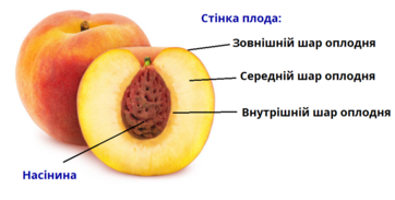 0401tgh6-1340-362x183.png